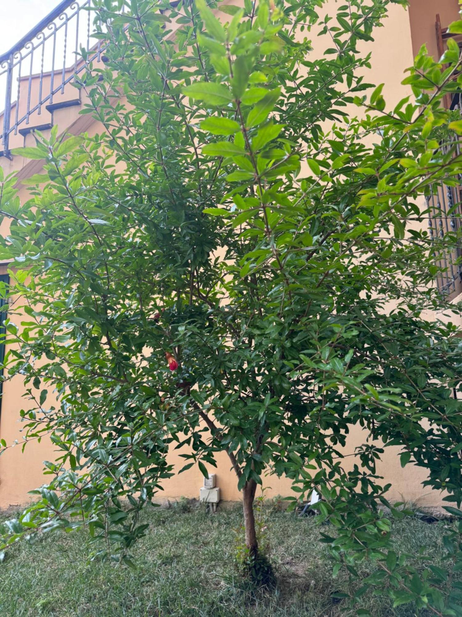 La Casa Di Grace Florence